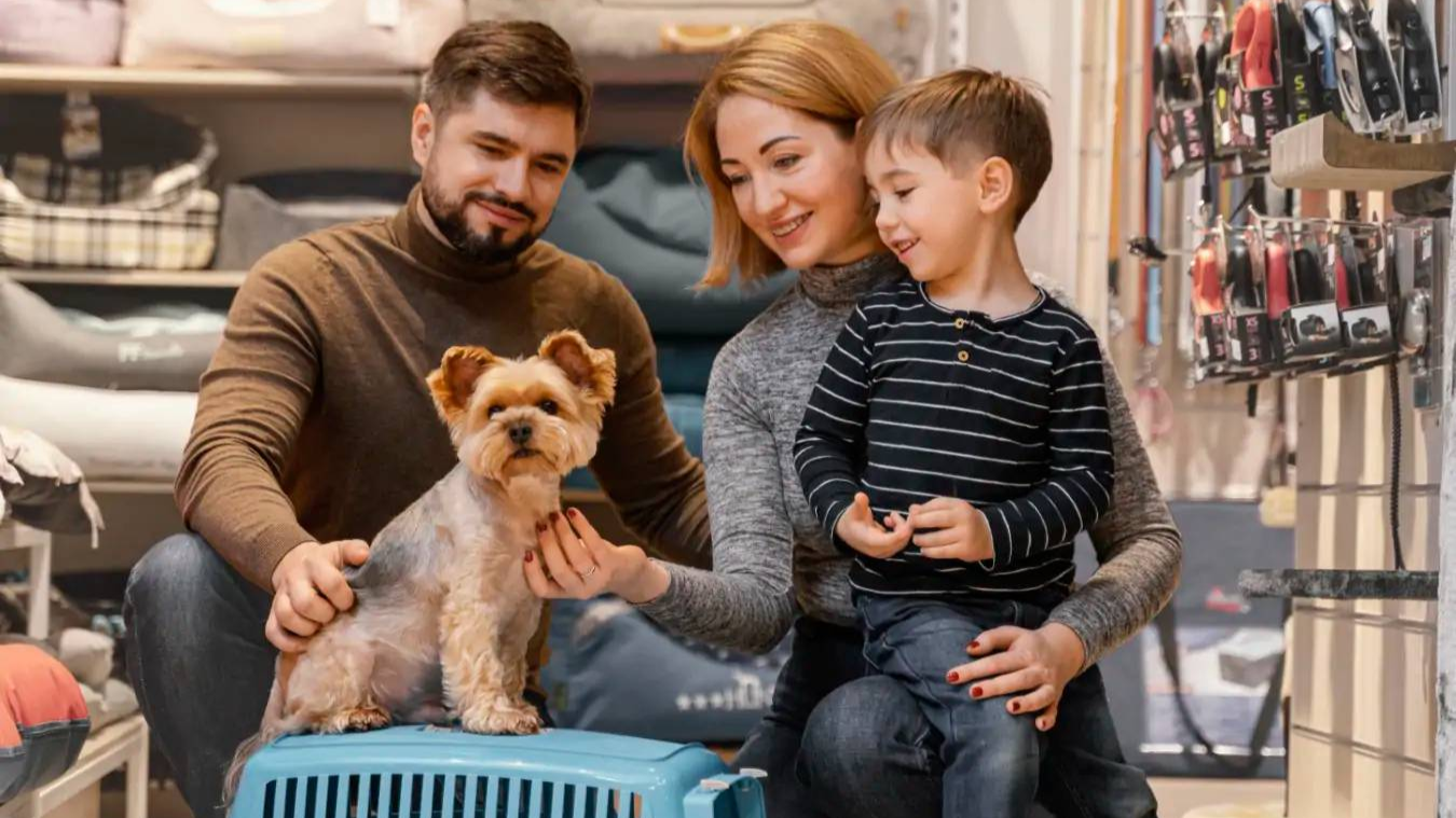 imgi_5_cute-little-dog-with-owners-pet-shop-Grande-min